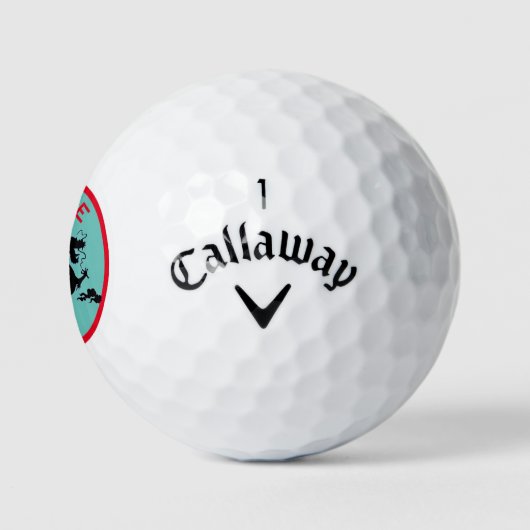 AANGEPASTE NAAM DRAGON CALLAWAY GOLF WARBIRD GOLFB GOLFBALLEN (Logo)