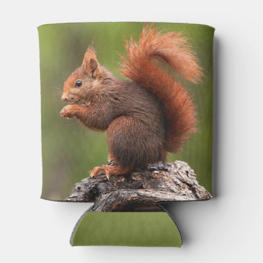 Aangepaste naam Eekhoorn Blikjeskoeler (Achterkant)