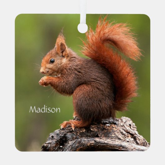 Aangepaste naam Eekhoorn Metalen Ornament (Achterkant)