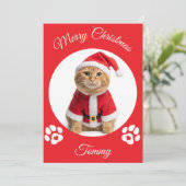 Aangepaste naam en foto voor Kerstmis voor katten Feestdagenkaart (Staand voorkant)