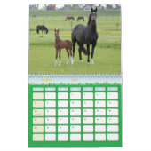 Aangepaste naam en jaarrooster voor paarden kalender (Mar 2027)