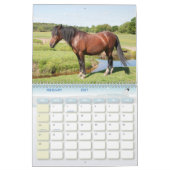 Aangepaste naam en jaarrooster voor paarden kalender (Feb 2027)