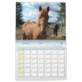 Aangepaste naam en jaarrooster voor paarden kalender (Jan 2026)