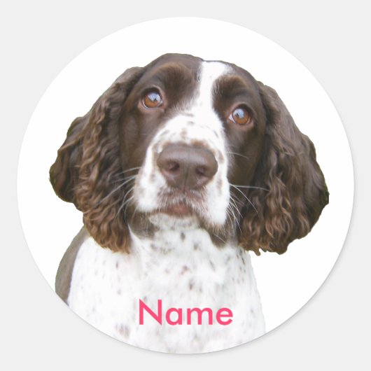 Aangepaste naam Engelse Springer Spaniel Stickers (Voorkant)