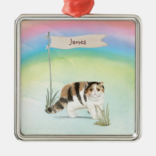 Aangepaste naam Exotic Short Hair Cat Pet Metalen Ornament (Voorkant)