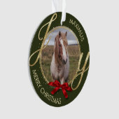 Aangepaste naam foto-paard ornament (voorkant)