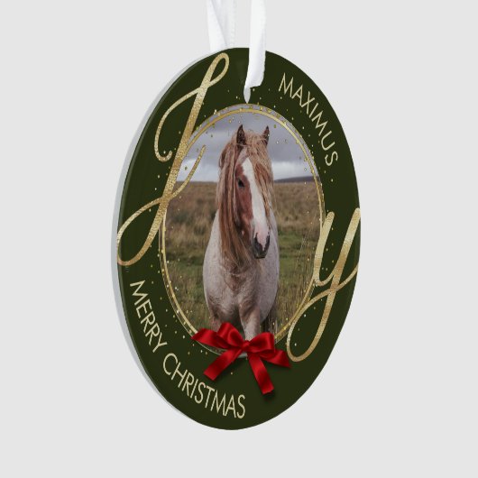 Aangepaste naam foto-paard ornament (voorkant)