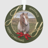 Aangepaste naam foto-paard ornament (achterkant)