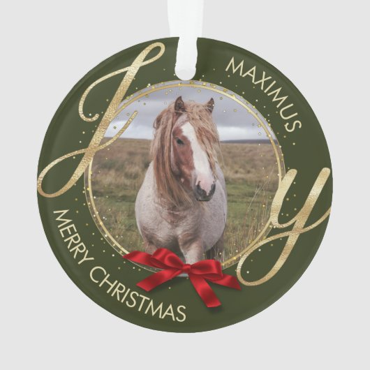 Aangepaste naam foto-paard ornament (achterkant)