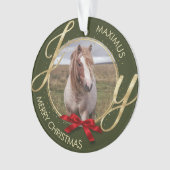 Aangepaste naam foto-paard ornament (voorkant)