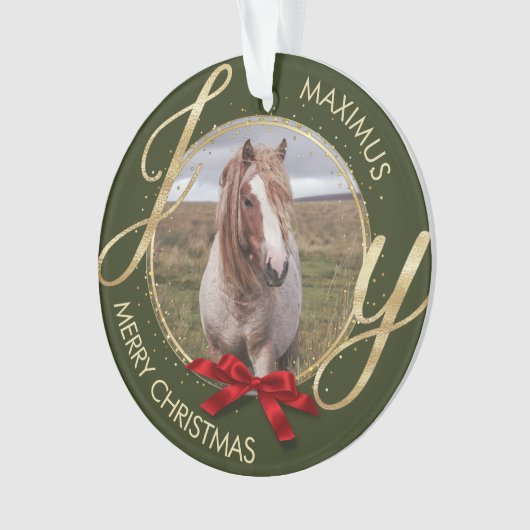 Aangepaste naam foto-paard ornament (voorkant)