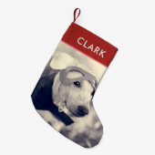 Aangepaste Naam & Huisdier Foto l Schattige Puppy  Kleine Kerstsok (Voorkant (Hangend))