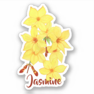Aangepaste naam Jasmine Naam Vinyl Stickers