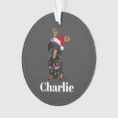 Aangepaste naam Kerstmis Dachshund Honden Verlicht Ornament (voorkant)