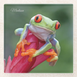 Aangepaste naam Kikker Glazen Onderzetter