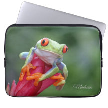 Aangepaste naam kikker