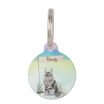 Aangepaste naam Maine Coon Cat Pet