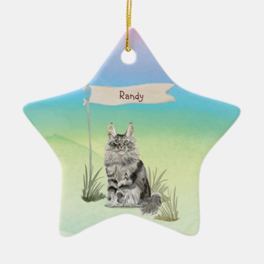 Aangepaste naam Maine Coon Cat Pet Keramisch Ornament (Voorkant)