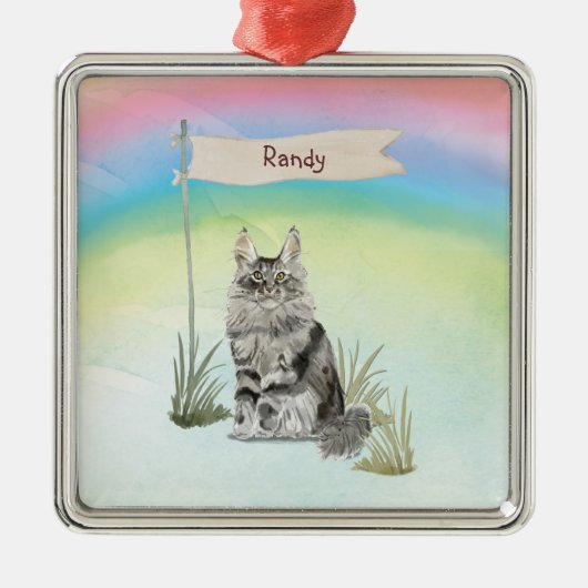Aangepaste naam Maine Coon Cat Pet Metalen Ornament (Voorkant)