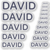 Aangepaste Naam Navy Blue 15 Maten Eenvoudige Pett Sticker (Voorkant)