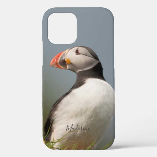 Aangepaste naam Puffin-telefoongesprekken Case-Mate iPhone Case (Achterkant)