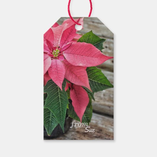 Aangepaste naam Rustieke Poinsettia Gift Labels Cadeaulabel (Voorkant)