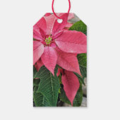 Aangepaste naam Rustieke Poinsettia Gift Labels Cadeaulabel (Achterkant)