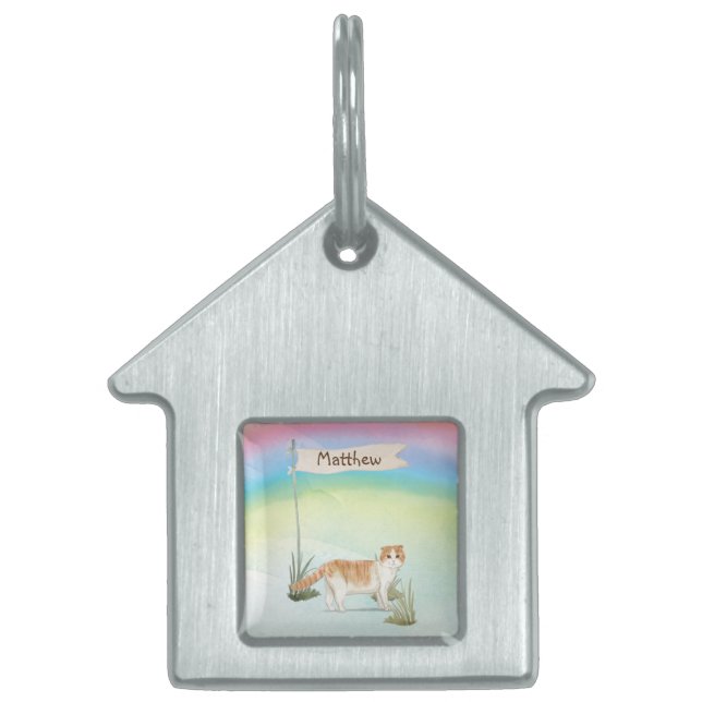 Aangepaste naam Scottish Fold Cat Pet Huisdieren Naamplaatje (Voorkant)