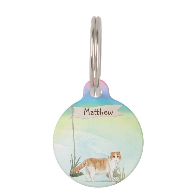 Aangepaste naam Scottish Fold Cat Pet Huisdierpenning (Voorkant)
