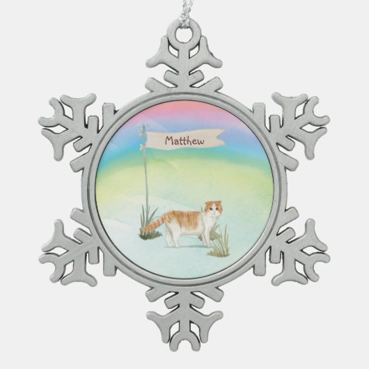 Aangepaste naam Scottish Fold Cat Pet Tin Sneeuwvlok Ornament (Voorkant)