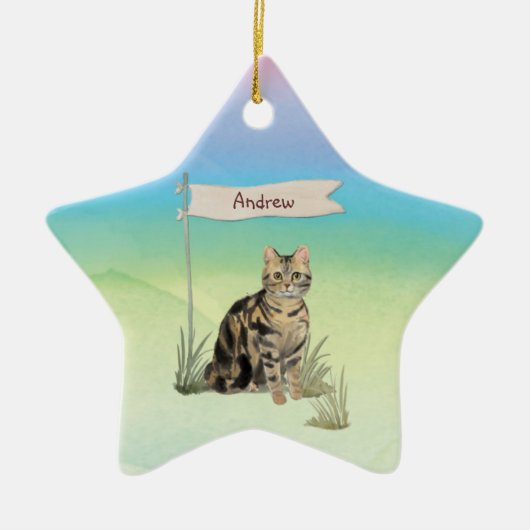 Aangepaste naam Tabblad Kat Pet Keramisch Ornament (Voorkant)