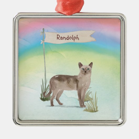 Aangepaste naam Tonkinese Cat Pet Metalen Ornament (Voorkant)