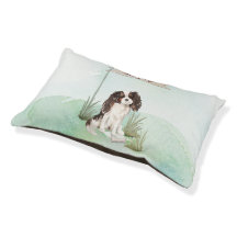 Aangepaste naam Tri Kleur King Charles Spaniel