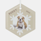 Aangepaste naam van dog-pen Fotosnowflakes Glas Ornament (Voorkant)