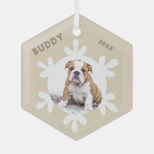 Aangepaste naam van dog-pen Fotosnowflakes Glas Ornament (Voorkant)