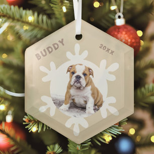 Aangepaste naam van dog-pen Fotosnowflakes Glas Ornament