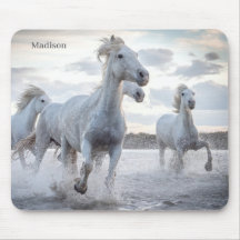 Aangepaste naam: witte paarden
