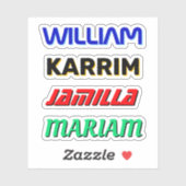 Aangepaste naamstickers (waterdichte vinylnamen) sticker (Vel)
