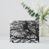 Aangepaste Natuur Briefkaart Wildlife Foto (Staand voorkant)