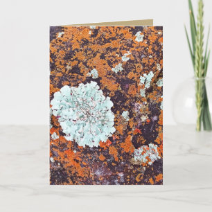 Aangepaste Natuur Steen en Lichen Hartelijk dank Bedankkaart