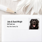 Aangepaste Newfoundland Dog Address Label (Insitu)