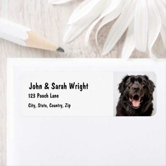 Aangepaste Newfoundland Dog Address Label (Insitu)