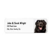 Aangepaste Newfoundland Dog Address Label (Voorkant)