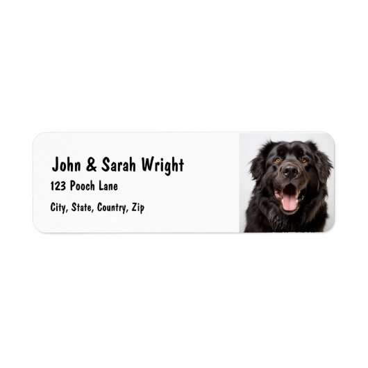 Aangepaste Newfoundland Dog Address Label (Voorkant)