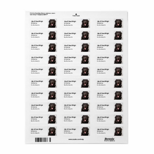 Aangepaste Newfoundland Dog Address Label (Full Sheet)