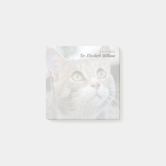 Aangepaste notitie van de dierenarts met Faded Cat Post-it® Notes (Voorkant)