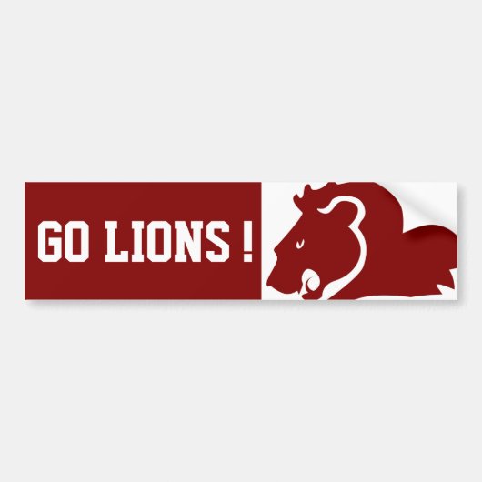 Aangepaste ontwerpersticker bumpersticker (Voorkant)