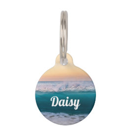 Aangepaste Oostzee Huisdierpenning