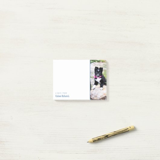 Aangepaste opmerkingen voor foto's achteraf post-it® notes (Op bureau)