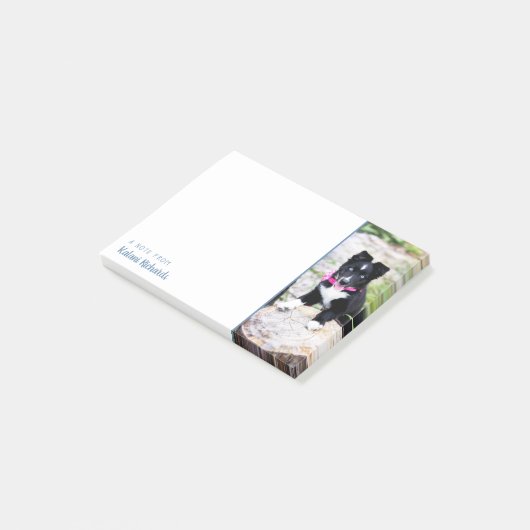 Aangepaste opmerkingen voor foto's achteraf post-it® notes (Schuin)